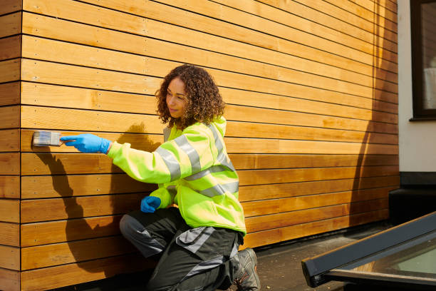 Affordable Siding Repair and Maintenance Services in Kirtland, OH